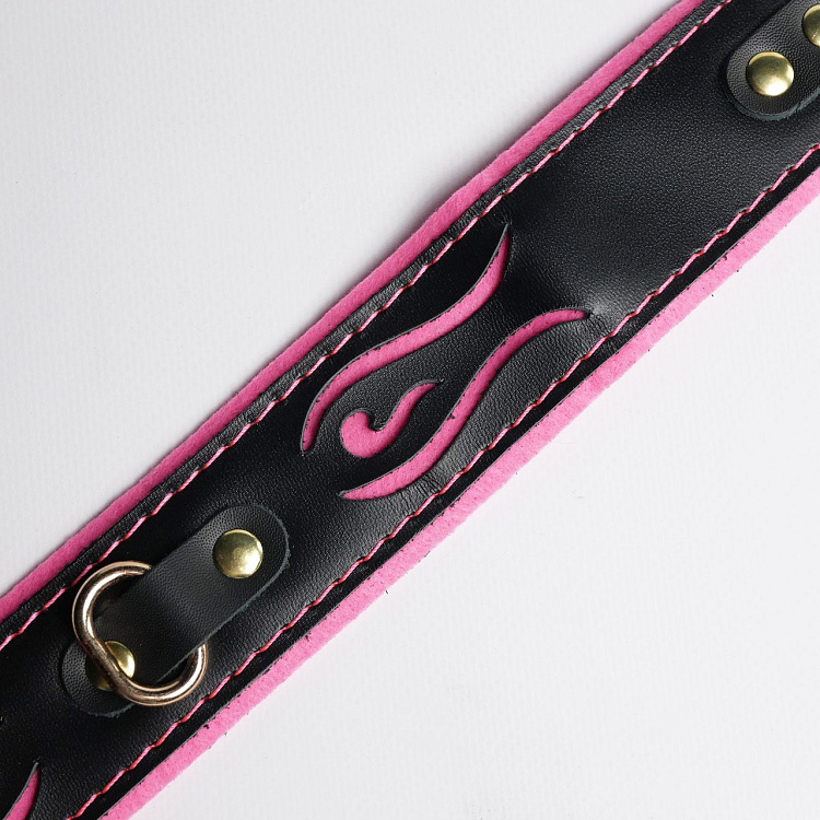 Черно-розовый ошейник с золотистой фурнитурой